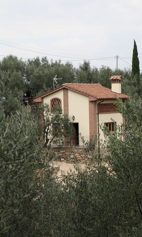 Agriturismo Il Calesse Quarrata Oda fotoğraf