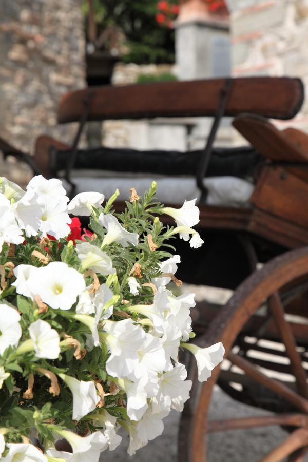 Agriturismo Il Calesse Quarrata Dış mekan fotoğraf