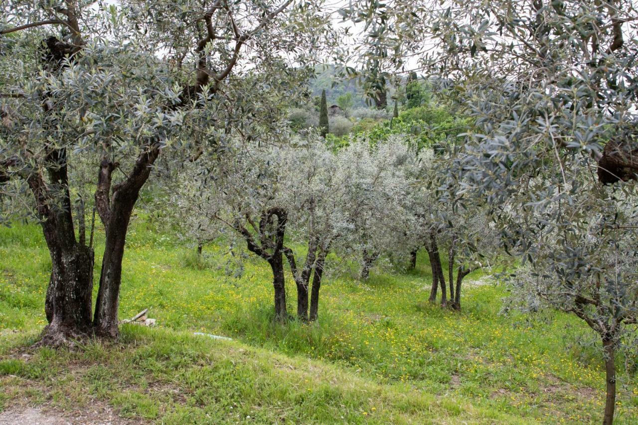 Agriturismo Il Calesse Quarrata Dış mekan fotoğraf